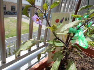 DSCN8487.JPG