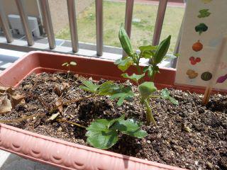 DSCN8488.JPG