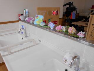DSCN8593.JPG