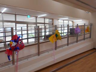 DSCN8670.JPG