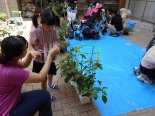 DSCN8841.JPG
