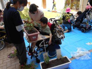 DSCN8843.JPG