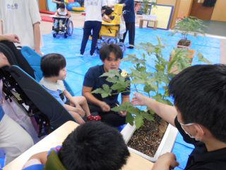 DSCN9022.JPG