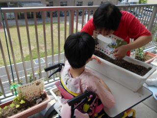 InkedDSCN8383_LI.jpg