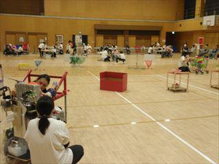 P6060004_R.JPG