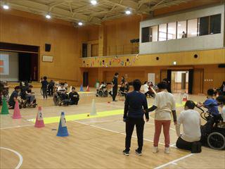 P6060052_R.JPG