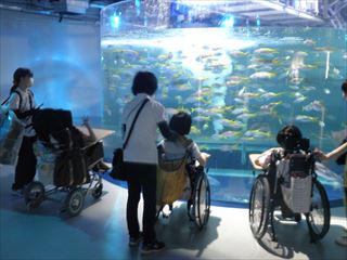 P7040003_R.JPG