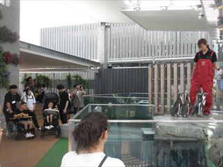 P7040039_R.JPG