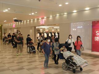P7050072_R.JPG